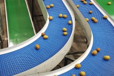 Dyno Conveyors Versatek Modular Belt Conveyor Intralox Kiwifruit 1
